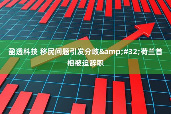 盈透科技 移民问题引发分歧&#32;荷兰首相被迫辞职