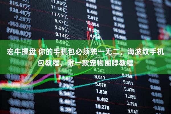 宏牛操盘 你的手机包必须独一无二，海波纹手机包教程，附一款宠物围脖教程