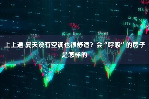 上上通 夏天没有空调也很舒适？会“呼吸”的房子是怎样的