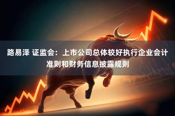 路易泽 证监会：上市公司总体较好执行企业会计准则和财务信息披露规则
