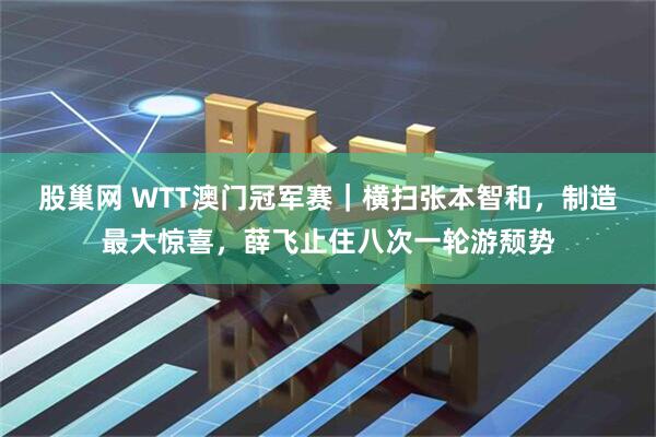 股巢网 WTT澳门冠军赛｜横扫张本智和，制造最大惊喜，薛飞止住八次一轮游颓势